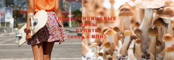 прущие грибы Алексеевка