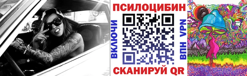 наркотики  omg маркетплейс  Псилоцибиновые грибы прущие грибы  Туринск 
